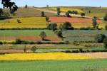 Couleurs des différentes cultures vers Aungnan, Pindaya, Birmanie.