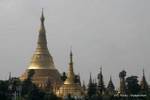 Stupa principal de la pagode de Shwedagon et celui de la Shinsawpu, Rangoon, Birmanie.