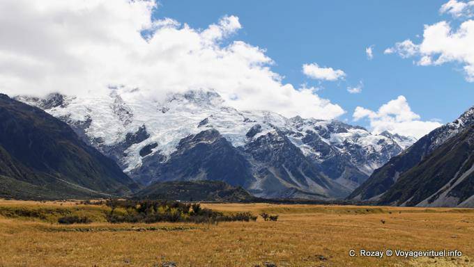 MacKenzie country, Mount Cook Road, Canterbury - Nouvelle-Zélande