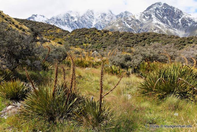 Moraine, Mount Cook Road, Canterbury - Nouvelle-Zélande
