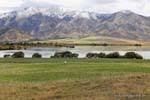 Campagne vers le lac Benmore, Canterbury, Nouvelle-Zélande.