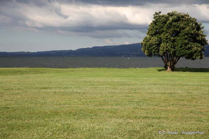 Couleurs, bord du Lac, Rotorua - Nouvelle-Zélande