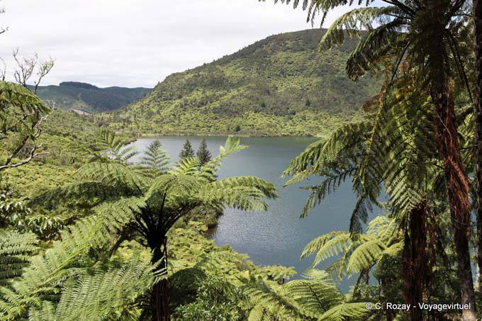 Green Lake (lac vert), Rotorua - Nouvelle-Zélande