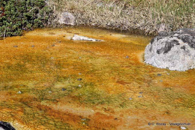 Ranolf Street, Kuirau Park, Rotorua - Nouvelle-Zélande