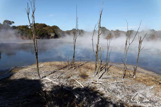Désolation volcanique, Kuirau Park, Rotorua - Nouvelle-Zélande
