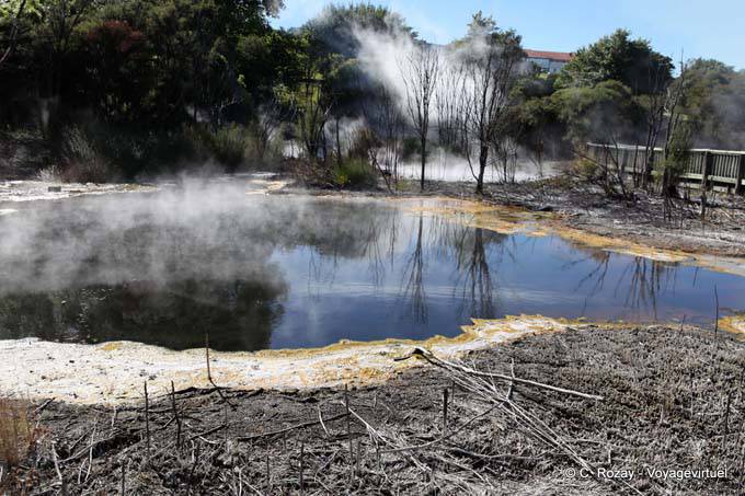 Activité géothermale, Kuirau Park, Rotorua - Nouvelle-Zélande