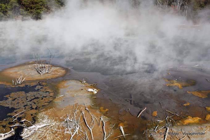 Vapeurs de respiration de la terre, Kuirau Park, Rotorua - Nouvelle-Zélande