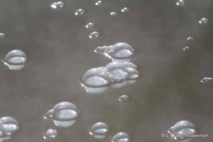 Bulles gazeuses, Kuirau Park, Rotorua - Nouvelle-Zélande