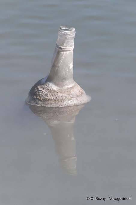 Bouteille calcifiée, Kuirau Park, Rotorua - Nouvelle-Zélande