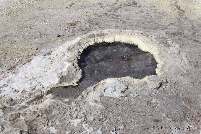 Mini source bouillante Sulphur Point, Volcanic Lake, Rotorua - Nouvelle-Zélande