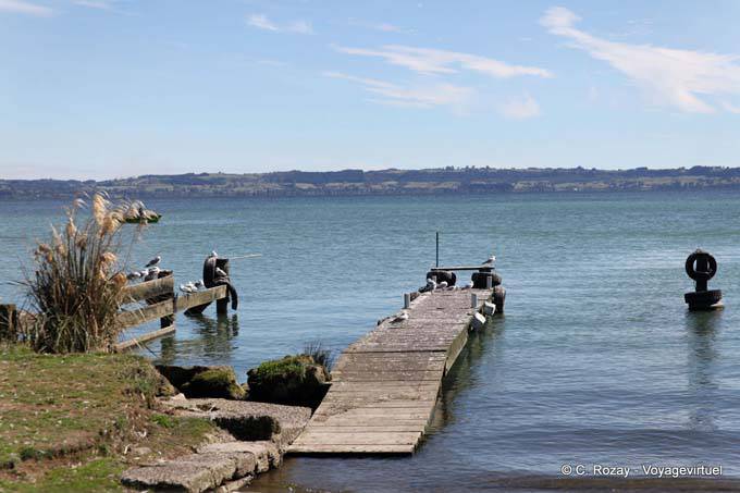 Te Rotorua-nui-a-Kahumatamomoe (Maori) lac volcanique, Rotorua - Nouvelle-Zélande