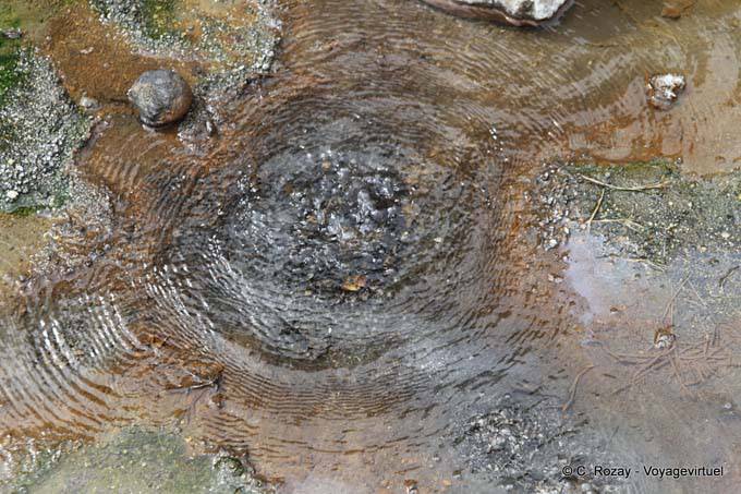 Source chaude et dépôts de silice, Waimangu Volcanic Valley, Rotorua - Nouvelle-Zélande