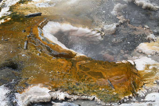 Source d'eau chaude, Waimangu Volcanic Valley, Rotorua - Nouvelle-Zélande