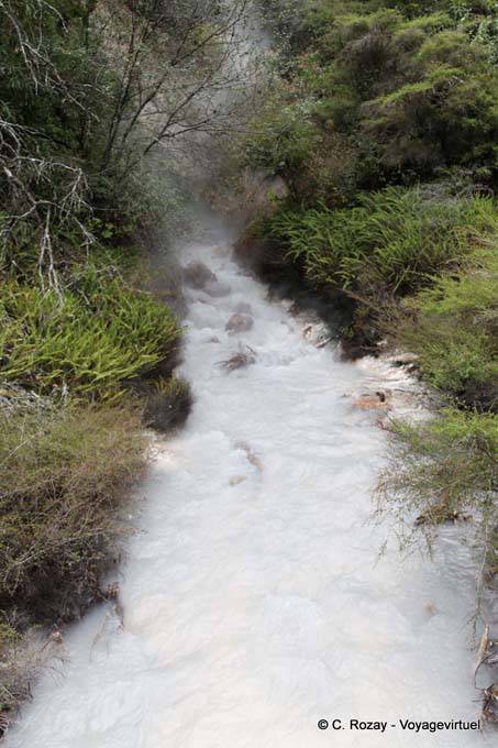 Ruisseau acide depuis l'Inferno, Waimangu Volcanic Valley, Rotorua - Nouvelle-Zélande