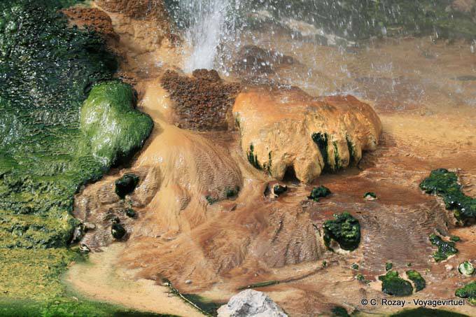 Mini geyser, Waimangu Volcanic Valley, Rotorua - Nouvelle-Zélande