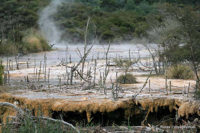 Terrasse de marbre, Waimangu Volcanic Valley, Rotorua - Nouvelle-Zélande