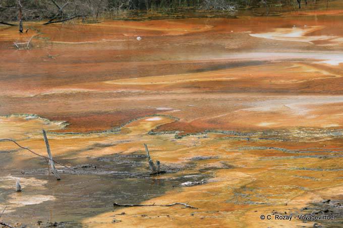 Terrace Warbrick, Waimangu Volcanic Valley, Rotorua - Nouvelle-Zélande