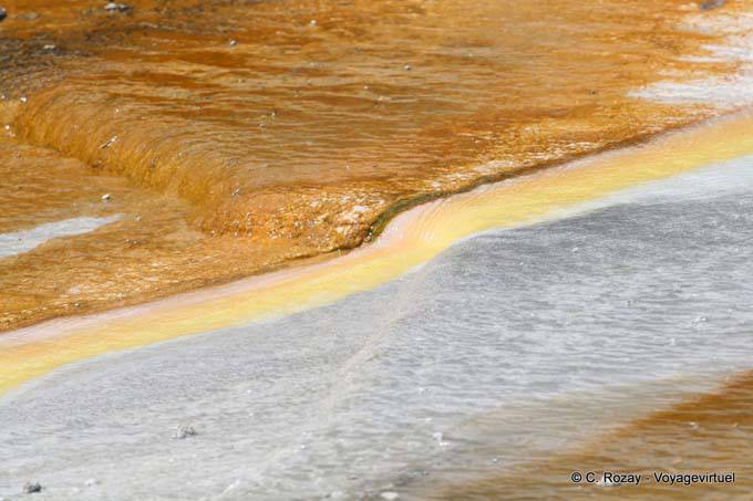 Couleurs de Te Whakarewarewatanga O Te Ope Taua A Wahiao, Whakarewarewa Thermal Village, Rotorua - Nouvelle-Zélande