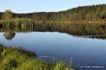 Panorama sur le lac Aniwhenua vers Galatea, Nouvelle-Zélande.