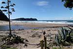 Hahei Hot Water Beach, Coromandel, Nouvelle-Zélande.