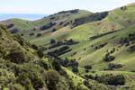 Landscape, Route depuis Thames, Coromandel, Nouvelle-Zélande.