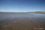 Plage infinie, Miranda, Nouvelle-Zélande.