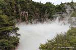 Lac du cratère Inferno, Waimangu Volcanic Valley, Rotorua, Nouvelle-Zélande.