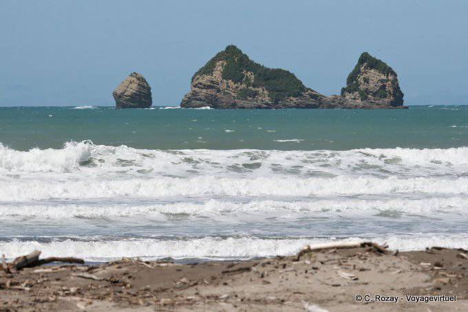 Motuoroi island, Anaura Bay, East Cape - Nouvelle-Zélande