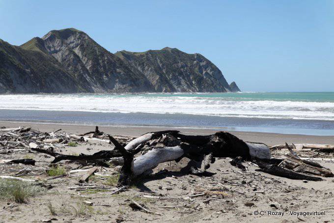 Plage et mer agitée, Anaura Bay, East Cape - Nouvelle-Zélande