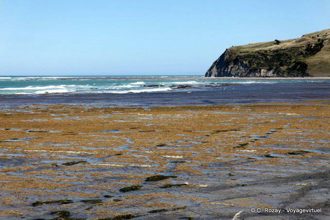 Tatapouri, Tatapuru, East Cape - Nouvelle-Zélande