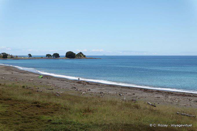 Bay of Plenty, dans les environs de Te Kaha, East Cape - Nouvelle-Zélande