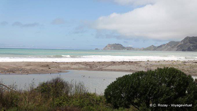 Près de Mangahauini river, Tokomaru Bay, East Cape - Nouvelle-Zélande