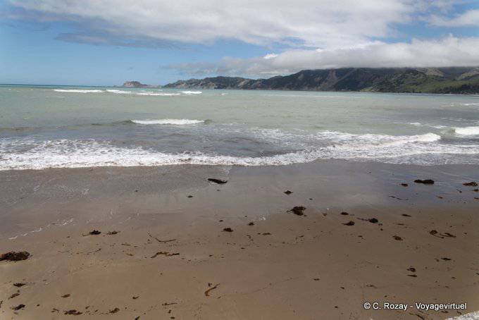 Sur la plage, Tokomaru Bay, East Cape - Nouvelle-Zélande