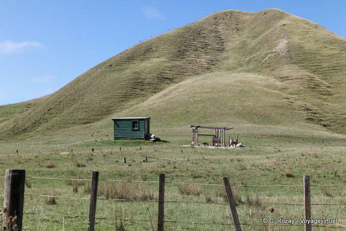 Colline à strates, Tolaga Bay, East Cape - Nouvelle-Zélande