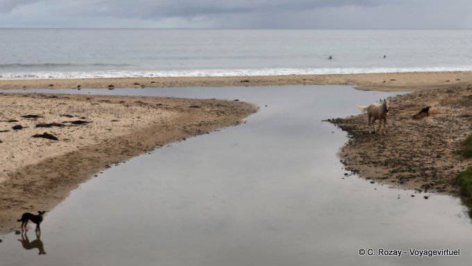 Te Rangiharu, Waihau Bay, East Cape - Nouvelle-Zélande
