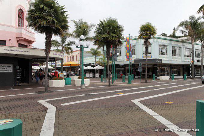 Palmiers et rue piètonne, Napier, Centre Ville, East Coast - Nouvelle-Zélande