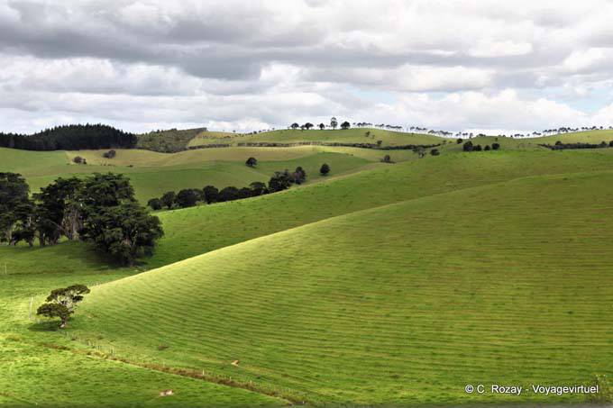 Paysage vers Matapouri, Northland Matapourri - Nouvelle-Zélande