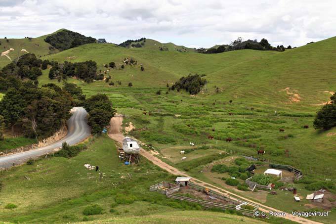 Sur la route de Tutukaka, Matapourri, Northland - Nouvelle-Zélande
