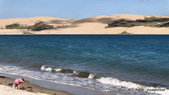 White Sand Beach, Kauri Coast, Oponomi, Hokianga Harbour, Northland - Nouvelle-Zélande