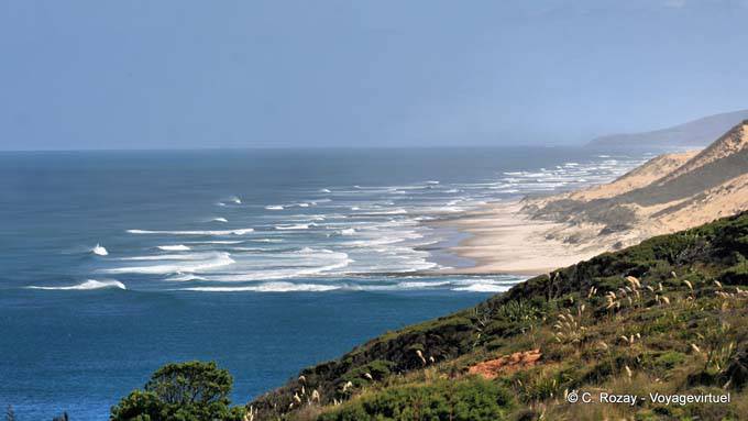 Panorama depuis la Arai Te-Uru recreation reserve, Oponomi, Hokianga Harbour, Northland - Nouvelle-Zélande