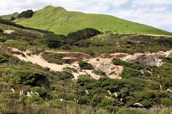Arai Te-Uru recreation reserve Omapere, Oponomi Hokianga Harbour, Northland - Nouvelle-Zélande