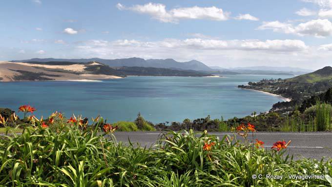 Ti Pikinga scenic reserve, Oponomi Hokianga Harbour, Northland - Nouvelle-Zélande