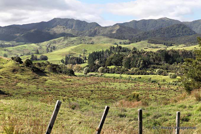 Route de Paihia à Oponomi, Northland - Nouvelle-Zélande