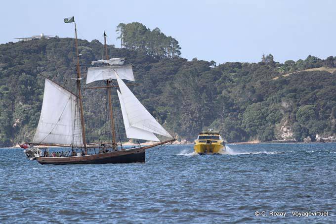Voilier contre catamaran, Paihia Voilier, Northland - Nouvelle-Zélande