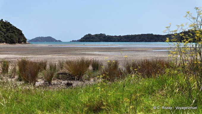 Route Bland Bay à Russell, Northland - Nouvelle-Zélande