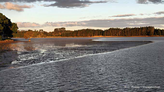 Lumière du soir sur Whananaki, Northland - Nouvelle-Zélande