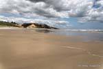 Landscape, Baylys Beach, Northland, Nouvelle-Zélande.