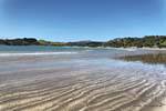 Beautiful east facing beach, Oakura Bay, Northland, Nouvelle-Zélande.