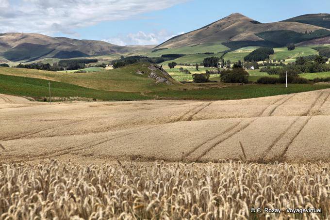 Clinton, Otago - Nouvelle-Zélande