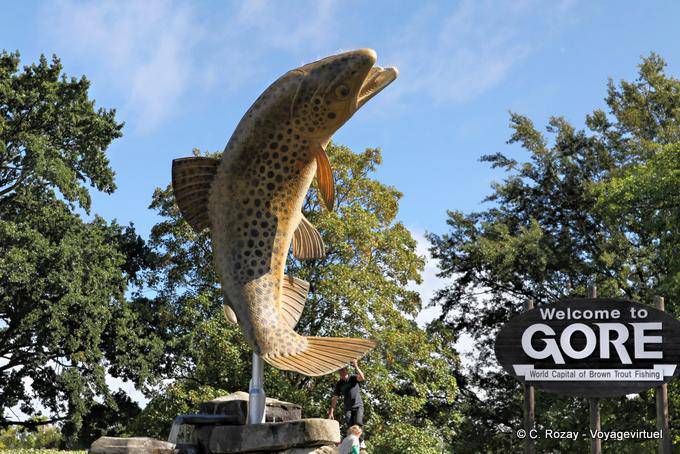 Gore Brown Trou Fishing, Otago - Nouvelle-Zélande